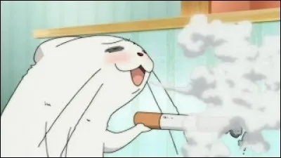 Camo en un mot, c'est...