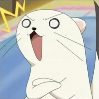 Avec qui boit-il un verre lors des entraînements de Negi chez Evangeline ?