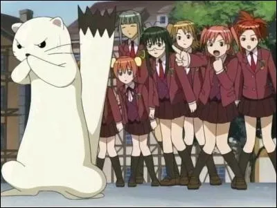 Pourquoi est-il venu au Japon rejoindre Negi ?