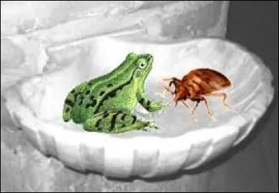 Qui chantait ''Les Bigotes'' en 1963 ?