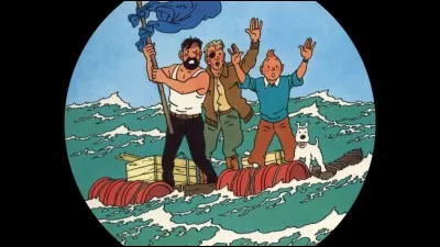 Quel est le nom allemand de Tintin ?