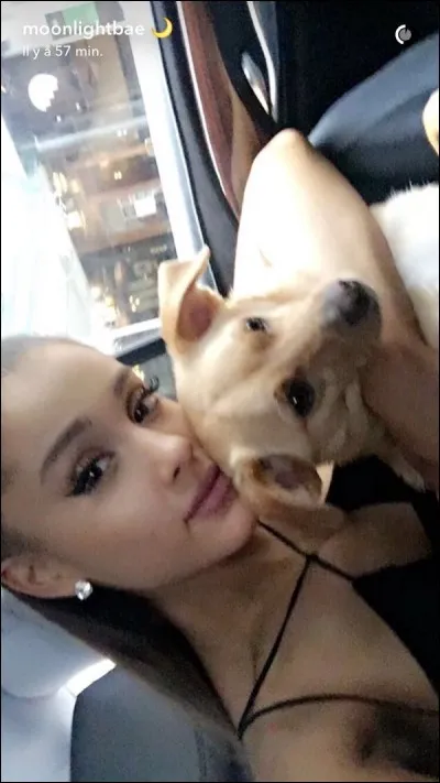 Comment s'appelle ce chien ?