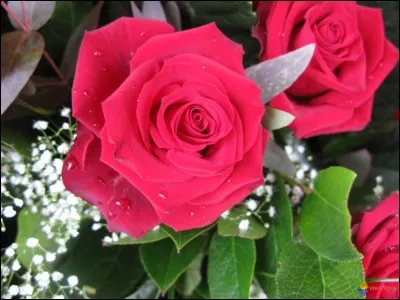 Qui a chanté "Jeune" en 2015 ?