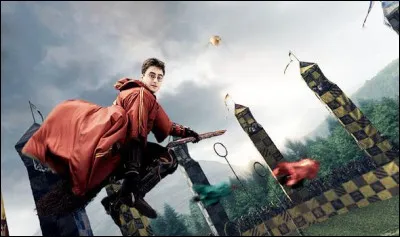 Si tu devais jouer au Quidditch...