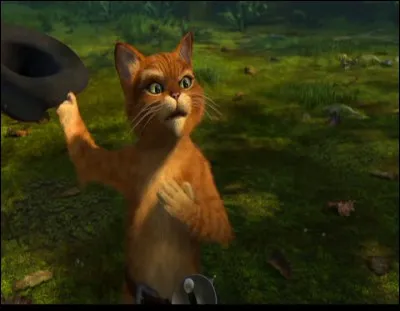 Le Chat potté est un personnage de fiction qui, en dehors du dessin-animé, est aussi apparu dans "Shrek".
