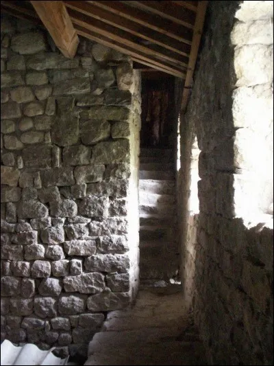 Que relie ce passage ?