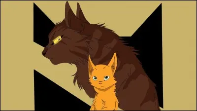 Comment s'appellent les petits d'Aile de Colombe ?