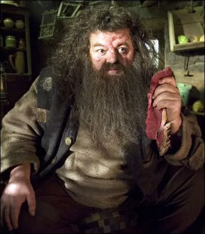 Quel est le premier sort qu'Hagrid lance devant Harry ?