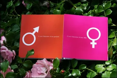 Es-tu une fille ou un gars ?