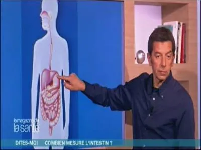 On peut vivre sans rate.