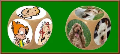 Quelle est la bonne réponse ?