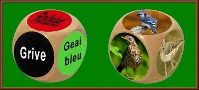 Quelle est la bonne réponse ?