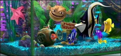 Seul survivant de plus de 400 œufs après l'attaque d'un barracuda, Némo est le seul fils qui reste à son père. Mais il manque de chance ! Dans l'aquarium de qui finit-il par aller ?