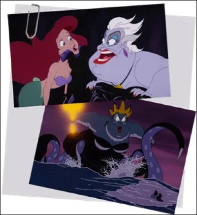 Ursula est une sorcière des mers malfaisante qui, depuis qu'elle a été bannie d'Atlantica par le roi Triton, vit comme une marginale dans son repaire isolé. Quelles sortes d'animaux sont ses compagnons Flotsam et Jetsam ?
