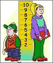 On arrte de grandir en moyenne vers 29 ans.