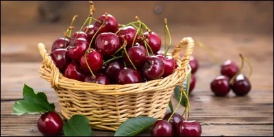 Pour qui est-il 'Le Temps des cerises' ?