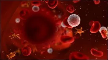 On a plus de globules rouges que de globules blancs.