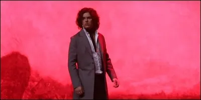 Qui joue Julien Sorel ?