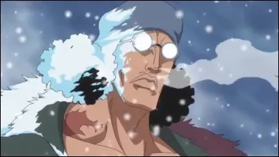 Qui a sauvé Luffy d'Aokiji pendant la guerre de Marine Ford ?
