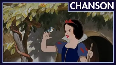 Quel animal se prend le gant jaune sur la tête alors qu'il fait la lessive ?