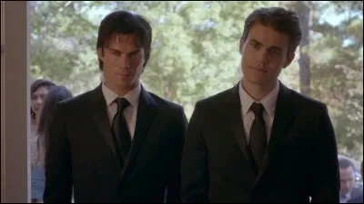 Que sont les frères Salvatore ?