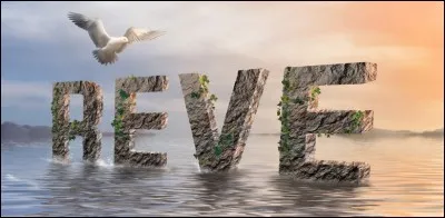 Quel est ton r&ecirc;ve ?