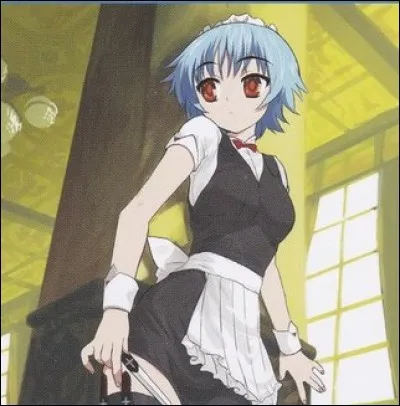 Comment se nomme cette carte ?