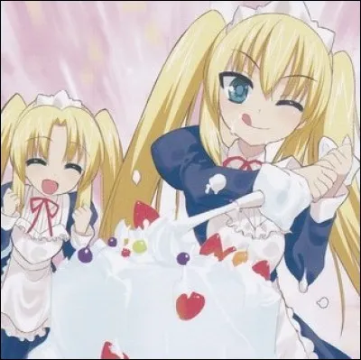 Comment se nomme cette carte ?