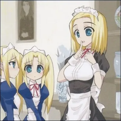 Comment se nomme cette carte ?