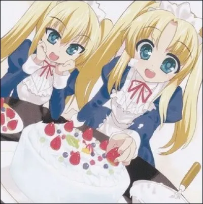 Comment se nomme cette carte ?