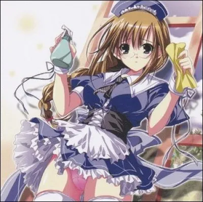 Comment se nomme cette carte ?