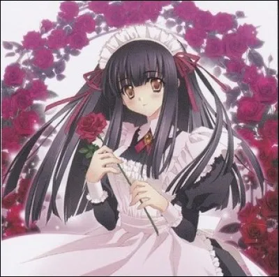 Comment se nomme cette carte ?