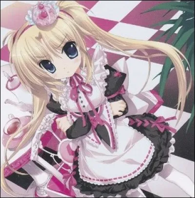 Comment se nomme cette carte ?