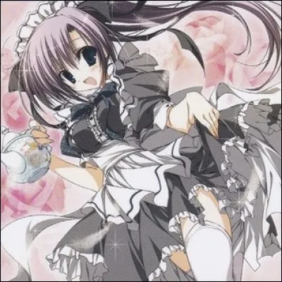 Comment se nomme cette carte ?