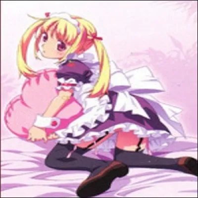 Comment se nomme cette carte ?