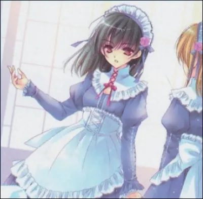 Comment se nomme cette carte ?