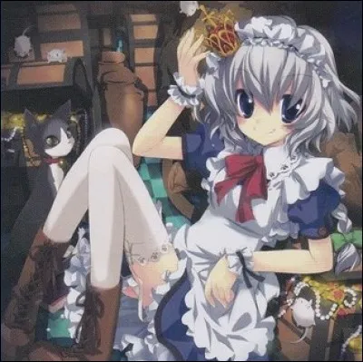 Comment se nomme cette carte ?