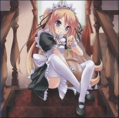 Comment se nomme cette carte ?