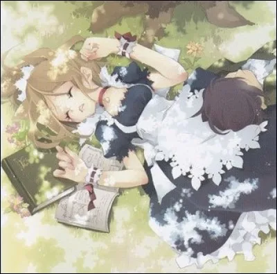 Comment se nomme cette carte ?