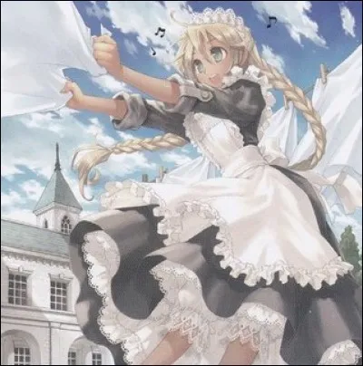 Comment se nomme cette carte ?