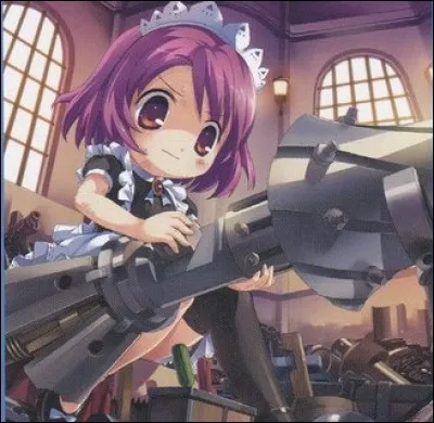 Comment se nomme cette carte ?