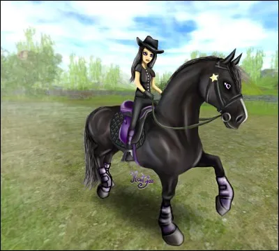 Qui suis-je ? (Regardez la description du quiz)