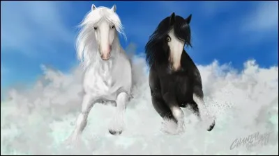 Quel est le niveau maximum d'un cheval ?