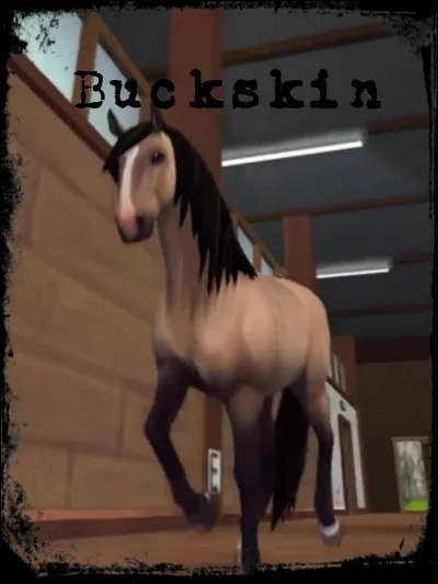 Quel est le niveau maximum d'une cavalière ?