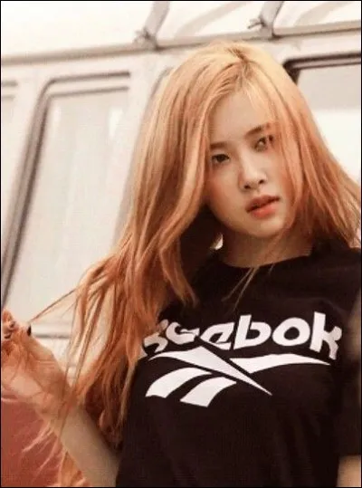 Sur cette photo, c'est :