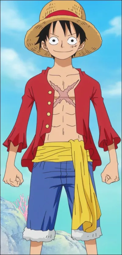 Qui est le père Luffy ?