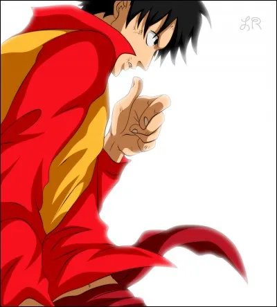 Quel est le vice capitaine de Luffy ?