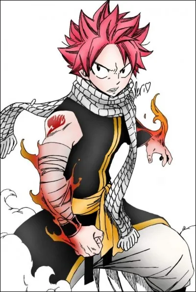 Qui est le frère de Natsu ?