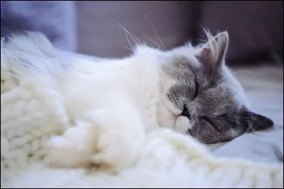 Où préfères-tu dormir ?