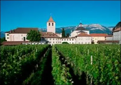 Déjà la photo nous en informait, pas de surprise à savoir que les chanoines bénédictins gèrent une cave vinicole dans l'abbaye, ceci depuis 1788. Ils ont conservé un pressoir en bois datant de 1549.
Fruit de ces vignes, on produit le Lagrein Riserva, le meilleur vin rouge italien selon l'association des sommeliers. 
Devinez où l'on presse ce vin divin ?
